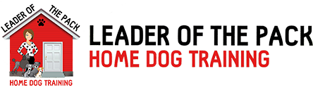 Leader of the Pack Home Dog Training