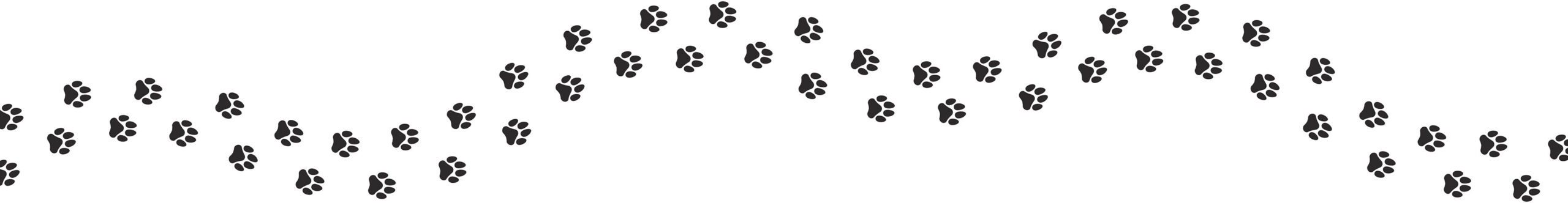 Paws - Leader of the Pack Home Dog Training Paws